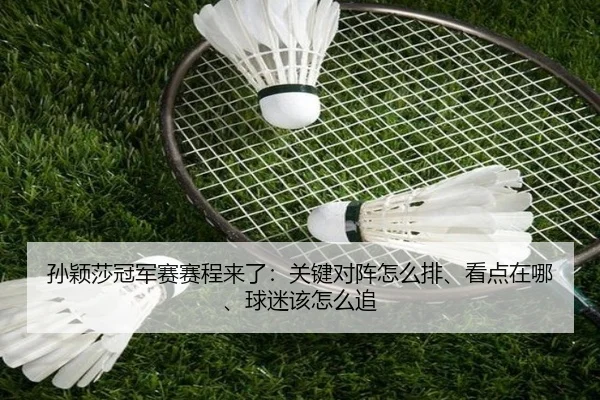 孙颖莎冠军赛赛程来了：关键对阵怎么排、看点在哪、球迷该怎么追
